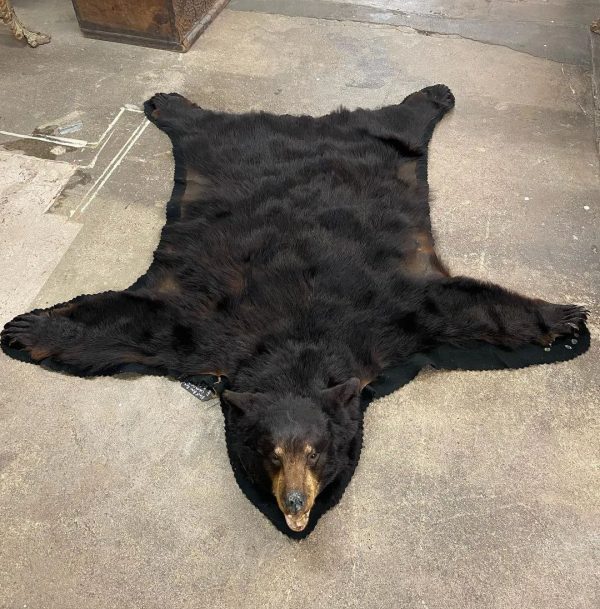 Black Bear Rug for Sale - Image 2