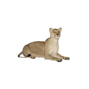 Lioness Mount