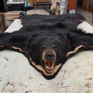 Black Bear Rug For Sale