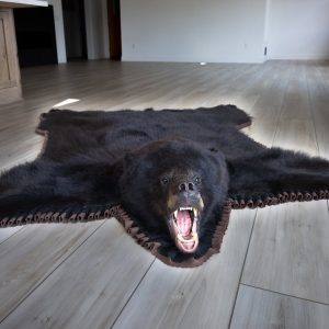 Bear Rug