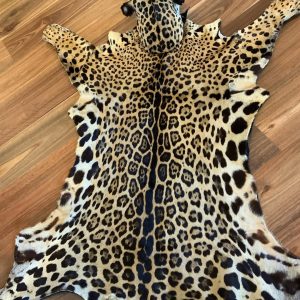 Jaguar skin floor rug/wall hanging