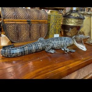 Vintage taxidermy alligator 🐊