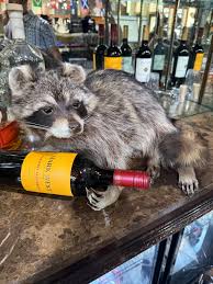 Whiskey Raccoon